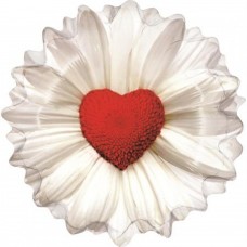 Шар фольгированный цветок белый с сердцем