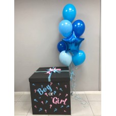 Коробка с шарами "Boy or Girl?"
